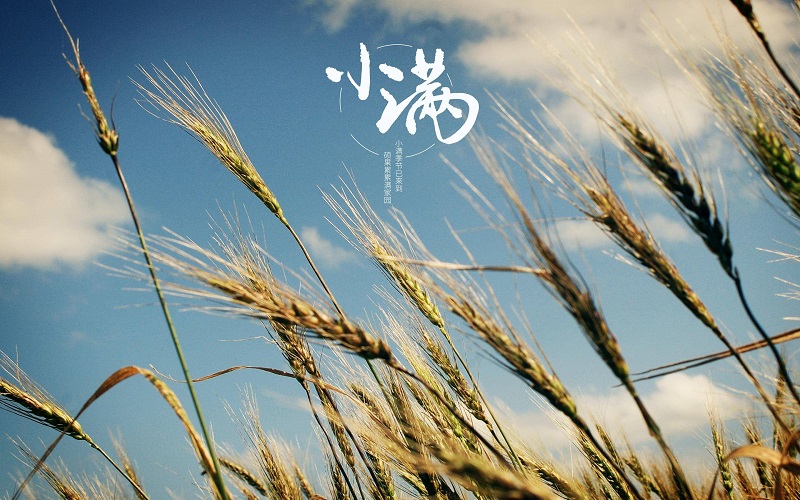 小满节气的含义是什么