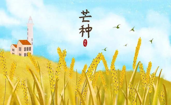 芒种的寓意和象征取名 芒种的寓意和象征是什么