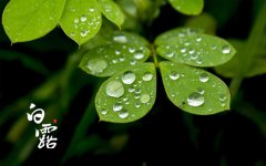 白露节气名字的由来 白露节气还有什么雅