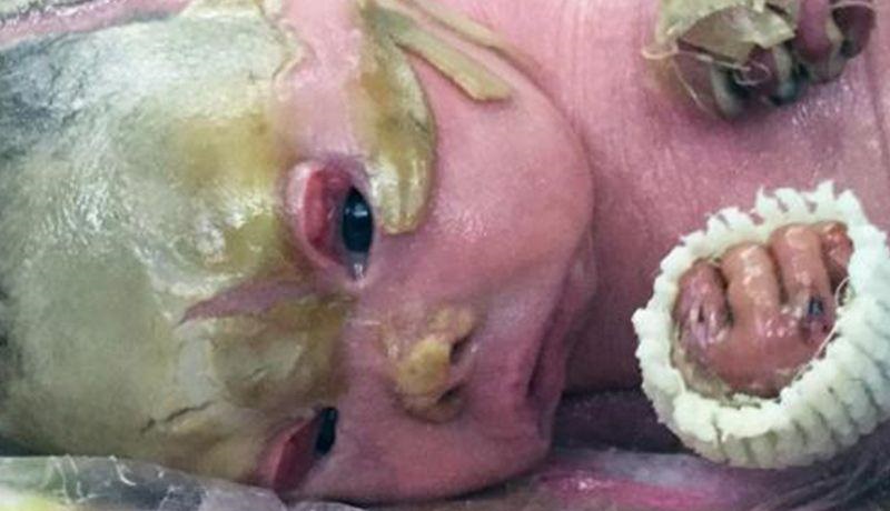 沉沙诡影 沉沙诡影免费阅读