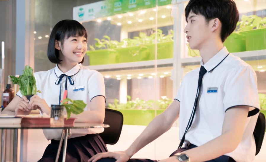 雪花飘影院手机版观看