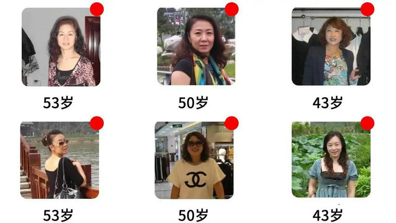 葛根批发 葛根批发 100斤装