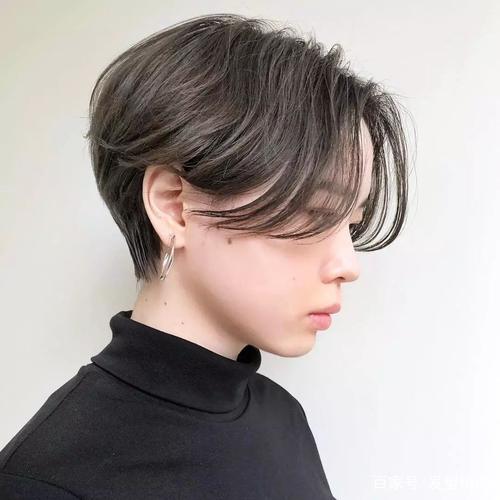 全部免费观看的电视剧