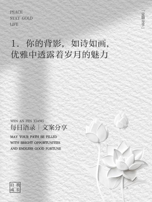 <b>陈冲领养的双胞胎送人</b>