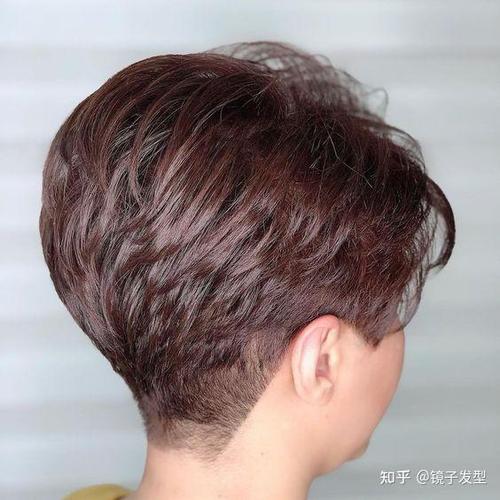 电视剧大厨 电视剧大厨南易