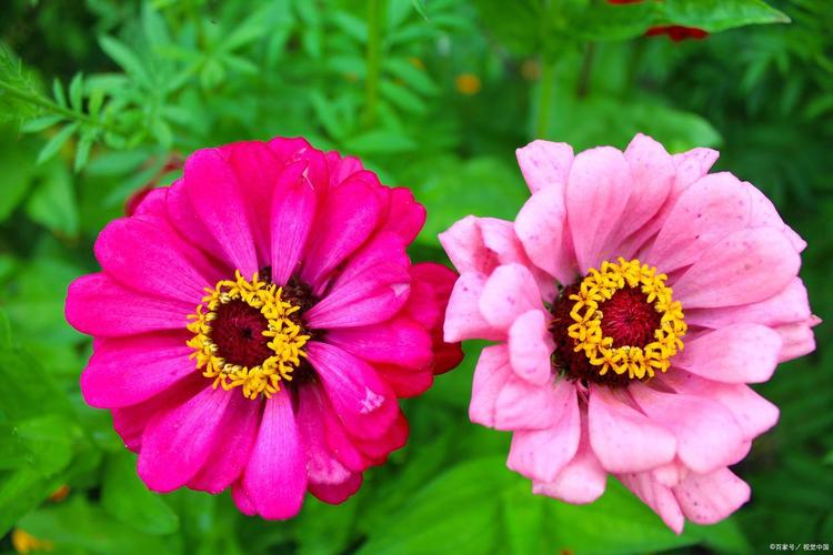 天天安全 天天安全小常识