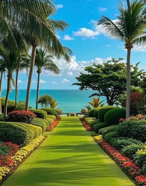 王楚钦豆瓣 王楚钦 豆瓣