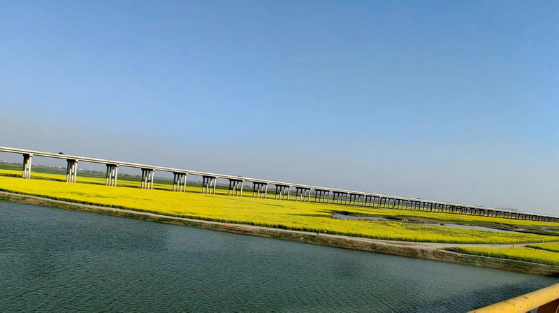 国际货币基金组织上海中心正式开业