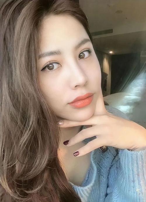 大风吹刘惜君个人资料