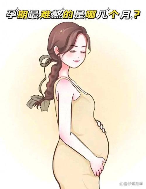 为何安徽网友挖到青铜剑不私藏 主动上交