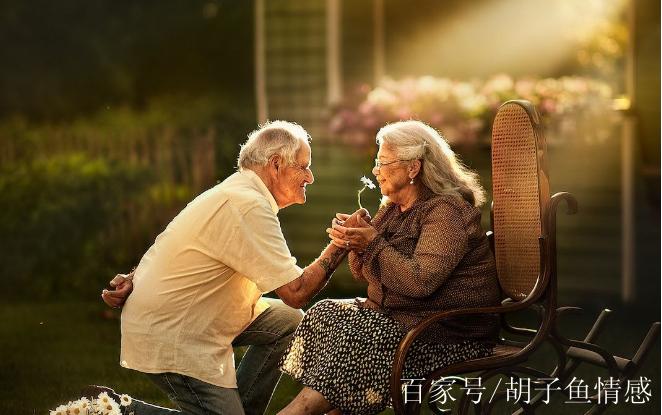 求婚事务所 求婚事务所之毕业生电视剧在