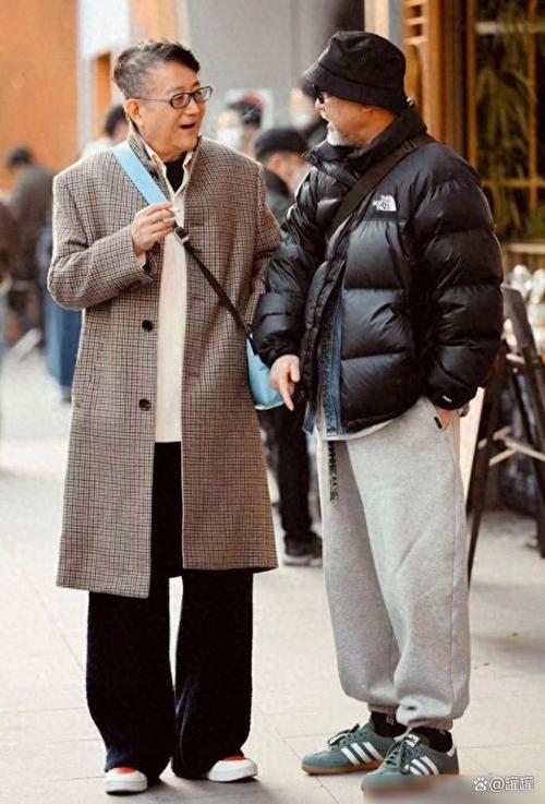 刘亦菲怀孕_刘亦菲怀孕大肚子要生了小说