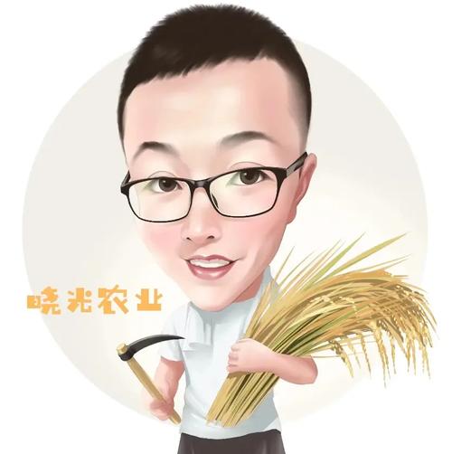 博人传214博人传214集免费播放