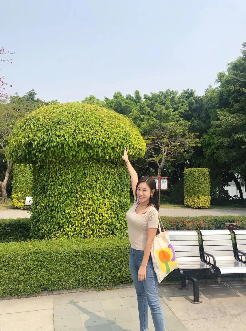 江苏卫视 白娘子 卫视节目表新白娘子传奇