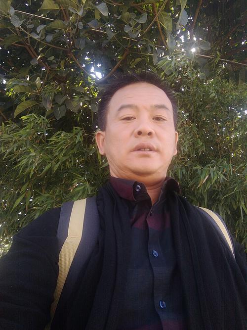 银色复仇者银色复仇者是主手还是副手