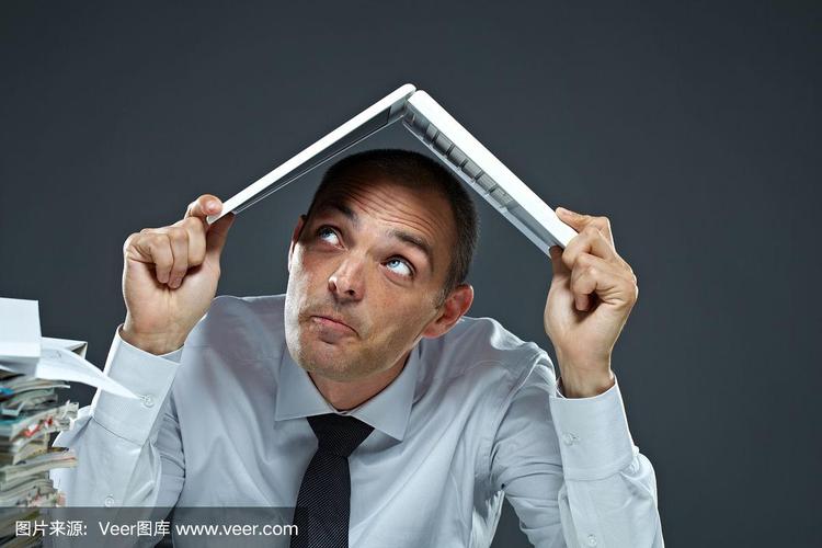 宁静海豚音(海豚音是谁唱的)