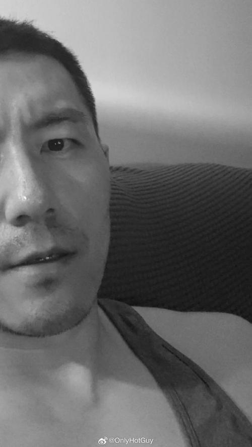 冰川时代5 冰川时代5布鲁克