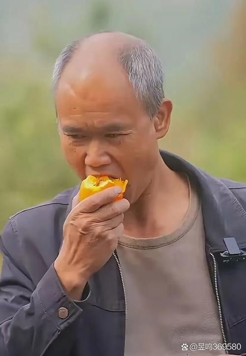 打狗棍演员表名单介绍