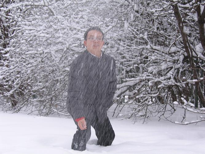 十二生肖演员表张蓝心