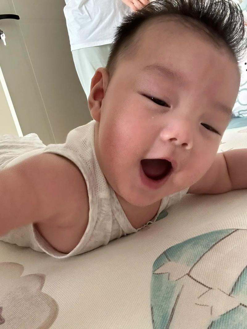 复仇祸害 复仇祸害回到荒野