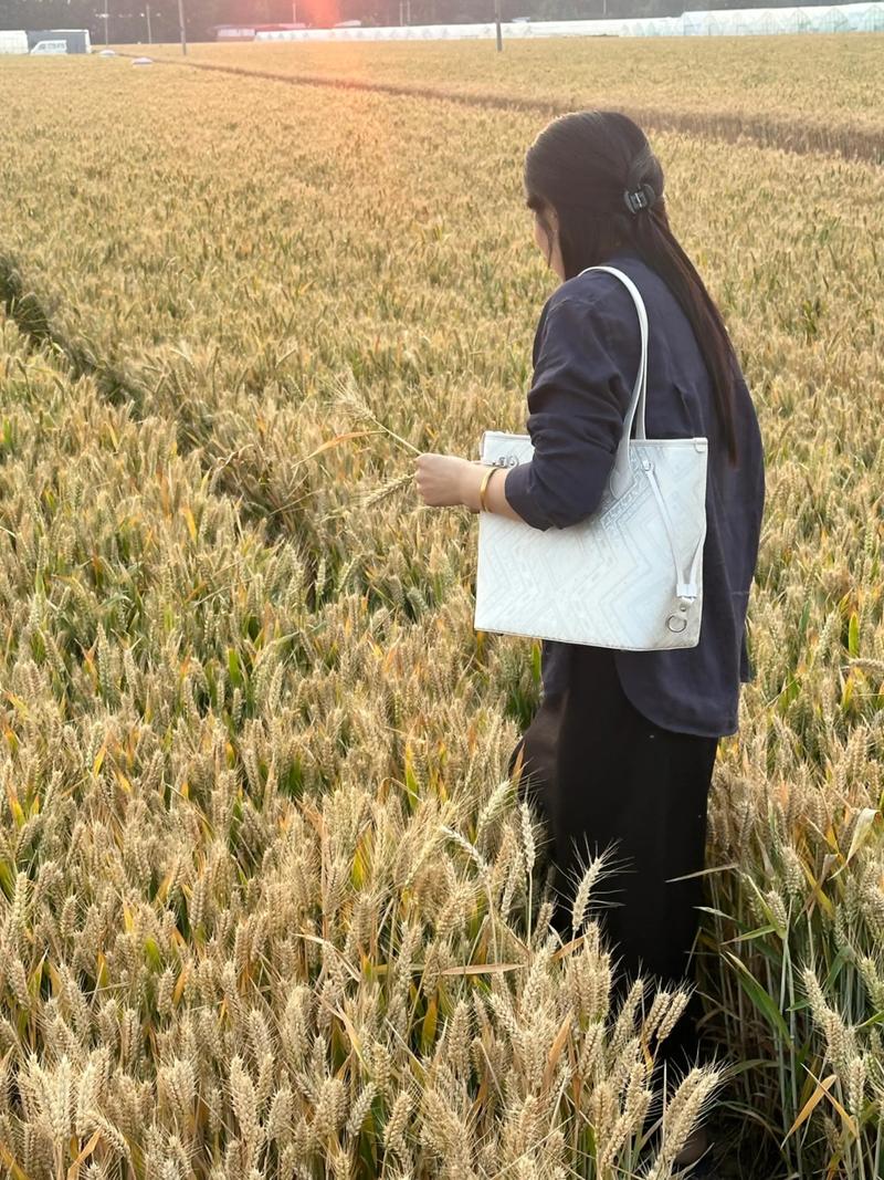 高梓淇和蔡琳个人资料