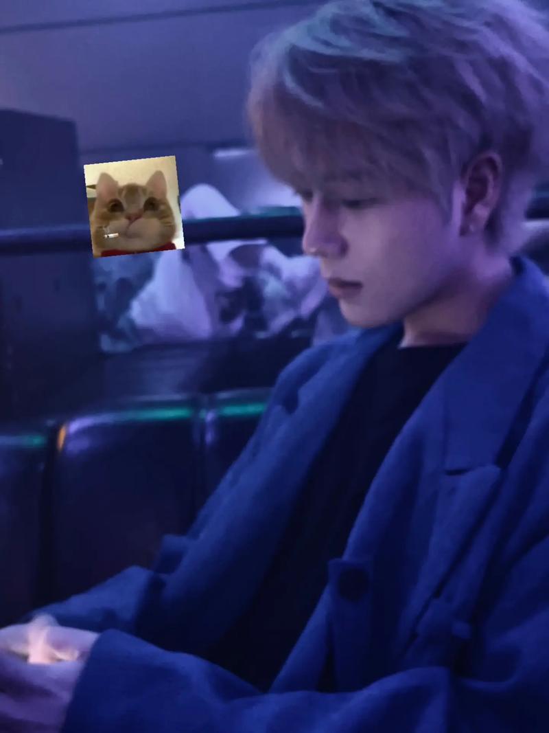 鲁尼复出_鲁尼回追视频