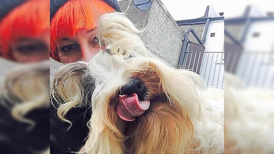 变形计2025年全集