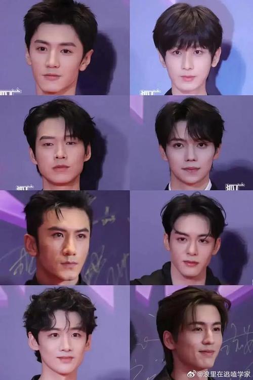 电视剧扫黑风暴28集