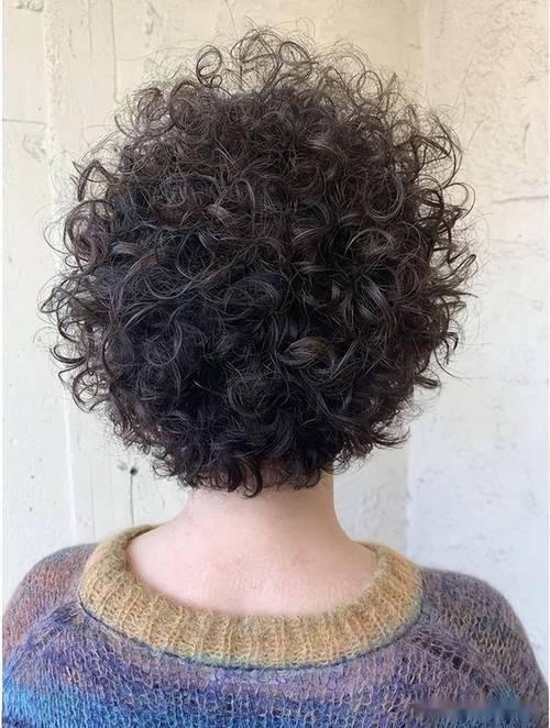 运财智多星 运财智多星粤语