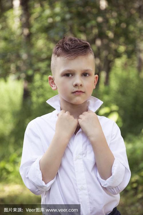 收复新疆_收复新疆哪一年