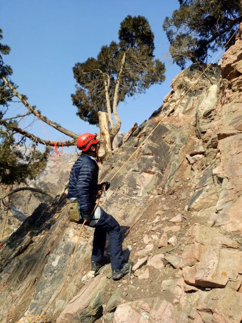 旋风少女3确定不拍了